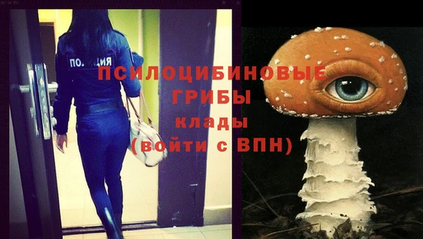 мдпв Абдулино