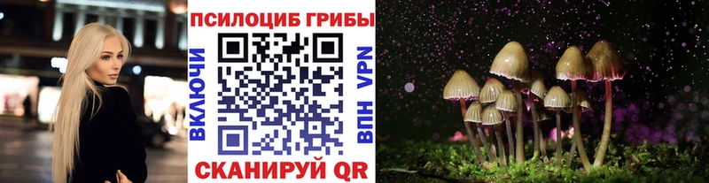 Галлюциногенные грибы прущие грибы  Агидель 